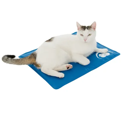 Gatto bianco sdraiato su un tappetino refrigerante blu con un logo bianco nell'angolo. Il tappetino serve a regolare la temperatura.