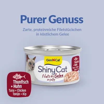 Sparpaket GimCat ShinyCat Filet in Jelly 24 x 70 g Sparpaket GimCat ShinyCat Filet in Jelly 24 x 70 g