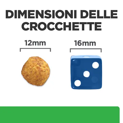 Dimensioni delle crocchette: confronto tra una crocchetta da 12 mm e un dado blu da 16 mm, testo visibile 'DIMENSIONI DELLE CROCCHETTE'.