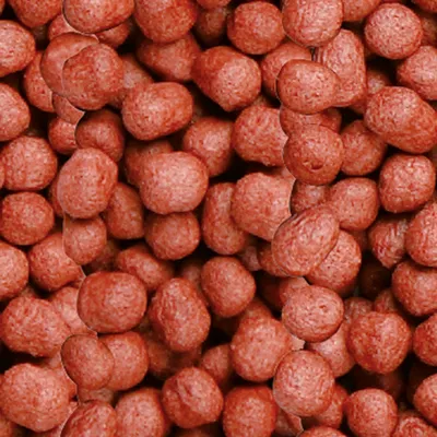 Croquetas de pienso seco de color marrón rojizo, forma redonda y superficie rugosa, agrupadas en primer plano. No se muestra marca ni información adicional.