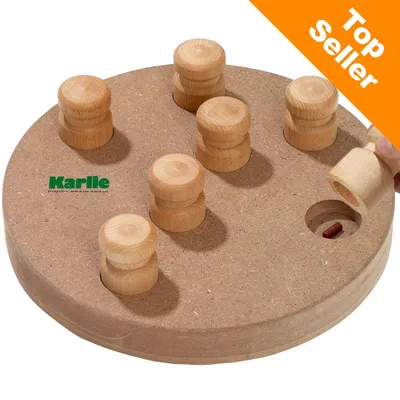 Karlie Doggy Brain Train 2 w 1 zabawka dla psa