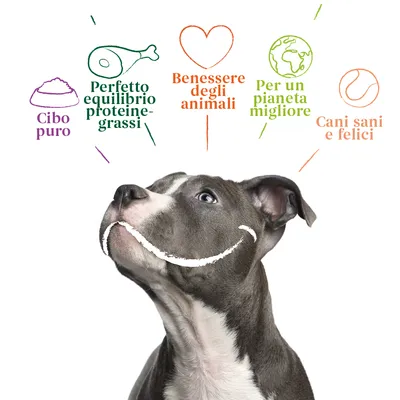 Cibo puro, Perfetto equilibrio proteine-grassi, Benessere degli animali, Per un pianeta migliore, Cani sani e felici