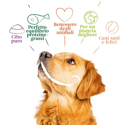 Cibo puro, Perfetto equilibrio proteine-grassi, Benessere degli animali, Per un pianeta migliore, Cani sani e felici. Testo visibile sopra la testa di un cane.