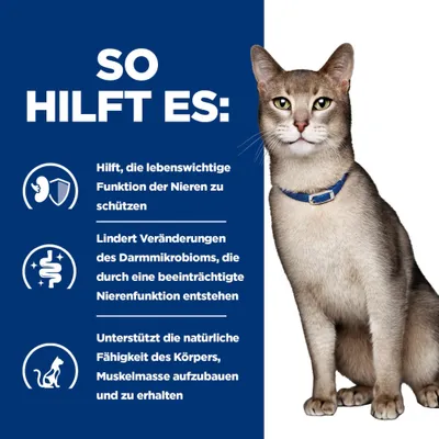 So hilft es: Schützt Nierenfunktion, lindert Veränderungen des Darmmikrobioms bei beeinträchtigter Nierenfunktion, unterstützt Muskelaufbau und -erhalt. So hilft es: Schützt Nierenfunktion, lindert Veränderungen des Darmmikrobioms bei beeinträchtigter Nierenfunktion, unterstützt Muskelaufbau und -erhalt.