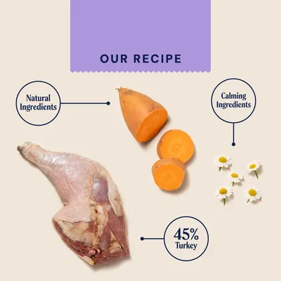 Pooch and Mutt Calm & Relaxed