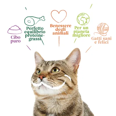 Cibo puro, Perfetto equilibrio proteine-grassi, Benessere degli animali, Per un pianeta migliore, Gatti sani e felici. Testo sopra un gatto tigrato.