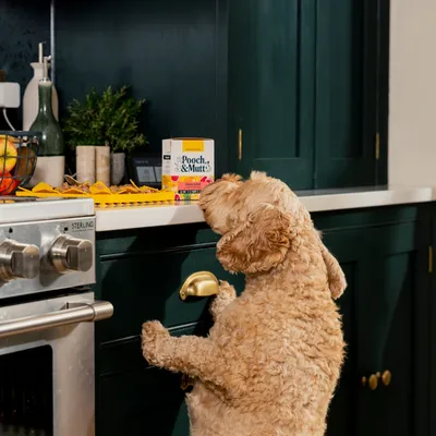 Pooch and Mutt Wet Dog Food - Chicken & Beef