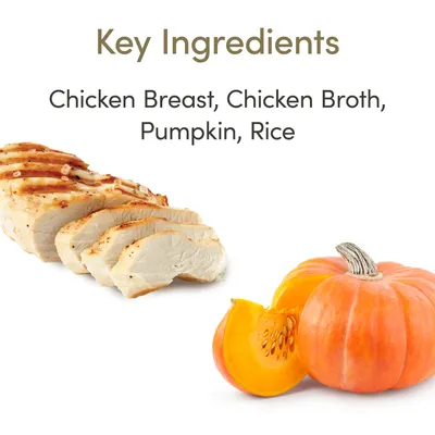 Key Ingredients: Chicken Breast, Chicken Broth, Pumpkin, Rice. Billede viser skiver af kyllingebryst og et græskar. Tekst på engelsk.