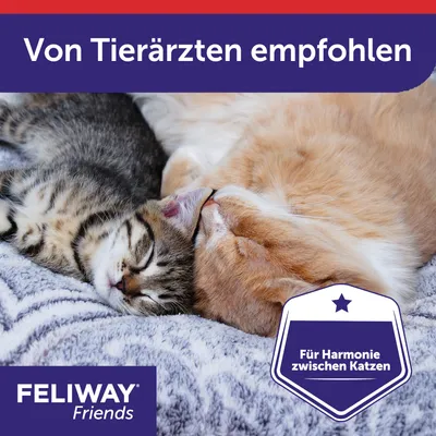 Feliway Friends. Von Tierärzten empfohlen. Für Harmonie zwischen Katzen.