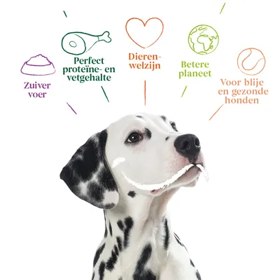 Zuiver voer, perfect proteïne- en vetgehalte, dierenwelzijn, betere planeet, voor blije en gezonde honden – tekst met illustraties boven een dalmatiërhond.