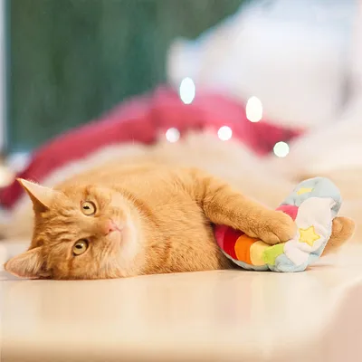 Rote Katze spielt mit einem bunten Stoffspielzeug in Regenbogenfarben und Sternenmuster auf einer hellen Oberfläche.