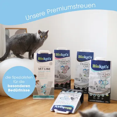 Biokat's Premiumstreu Diamond Care Vet Line und Sensitive. Spezialisten für besondere Bedürfnisse, geeignet für Katzen. Verpackungen mit Produktdetails sichtbar.