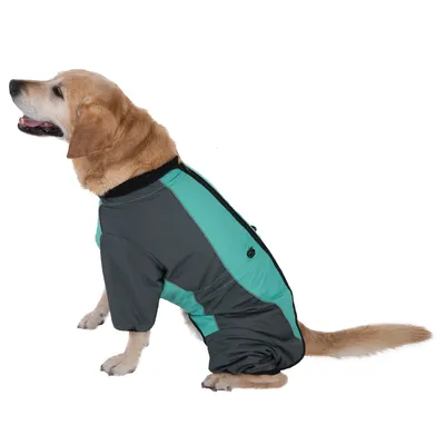 Cane con tuta integrale grigia e turchese con cerniera e strisce rifrangenti. Adatta per la protezione dalle intemperie.