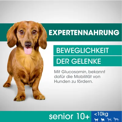 Текст на немецком: EXPERTENNAHRUNG, BEWEGLICHKEIT DER GELENKE, Mit Glucosamin, bekannt dafür die Mobilität von Hunden zu fördern. senior 10+, менее 10 кг.