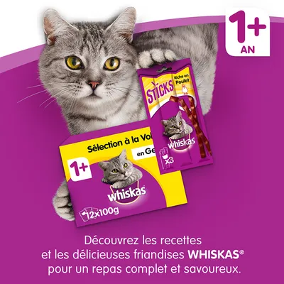 Paquet Whiskas Sélection à la Volaille en Gelée 12×100g, sticks Whiskas riche en poulet x3, texte : 1+ an. Découvrez les recettes et friandises Whiskas pour un repas complet et savoureux.