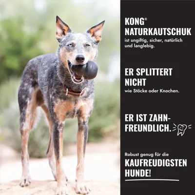 KONG Extreme