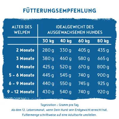 Fütterungsempfehlung für Welpen nach Alter und Idealgewicht des ausgewachsenen Hundes, Angaben in Gramm pro Tag für 30, 40, 60 und 80 kg. Hinweise zur Umstellung ab 12 Monaten.