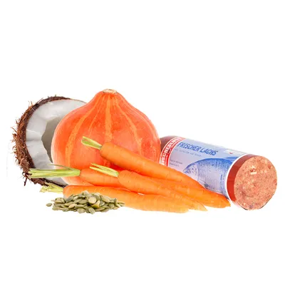 Salmón fresco en forma de embutido, ingredientes visibles: calabaza, zanahorias, coco y semillas de calabaza. Salmón fresco en forma de embutido, ingredientes visibles: calabaza, zanahorias, coco y semillas de calabaza.