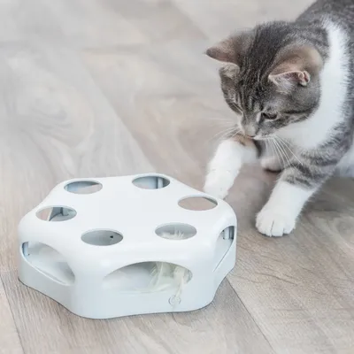 Kočka si hraje s bílou interaktivní hračkou se šesti otvory a peříčkem uvnitř, položeno na dřevěné podlaze.