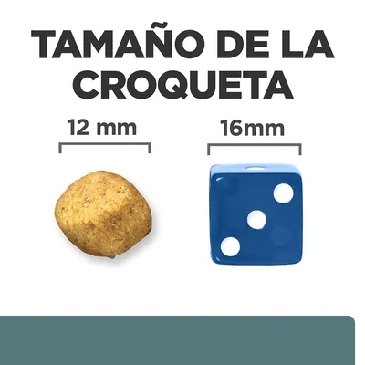 Tamaño de la croqueta: 12 mm comparado con un dado azul de 16 mm. Texto visible: 'TAMAÑO DE LA CROQUETA', '12 mm', '16 mm'.