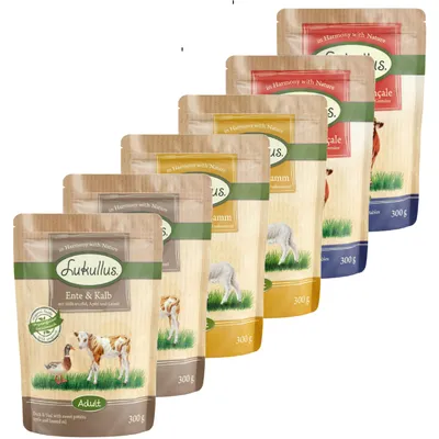 Selection of Lukullus 300g food pouches in assorted flavours, each pouch displaying product name and visible ingredients on the front.