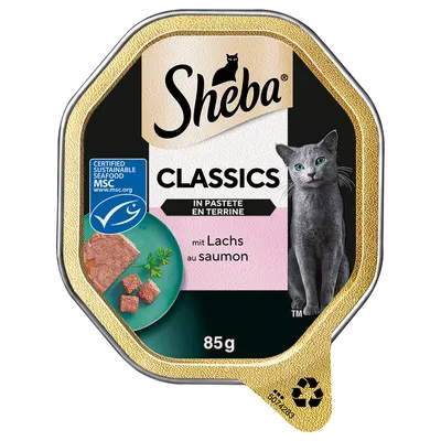 Sheba Classics in pâté with salmon, MSC certified, 85g. Packaging shows a grey cat and salmon pieces on a plate.