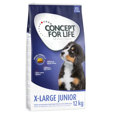 Concept for Life X-Large Junior, aliment sec pour chiots et jeunes chiens de grandes races, 12 kg, formule spéciale pour le développement musculaire, le soutien des articulations et les défenses immunitaires.