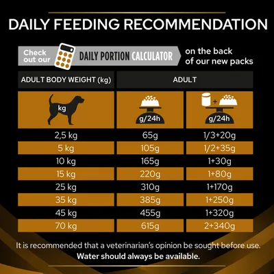 Daily feeding recommendation table showing adult body weight in kg with corresponding daily food portions in grams and mixed feeding amounts. Water should always be available.