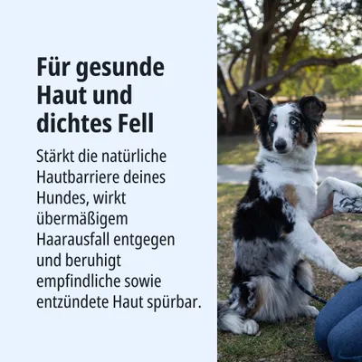 Für gesunde Haut und dichtes Fell. Stärkt die natürliche Hautbarriere, wirkt übermäßigem Haarausfall entgegen und beruhigt empfindliche sowie entzündete Haut spürbar.
