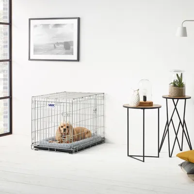 Hund in einem Metallkäfig der Marke Savic mit grauem Kissen, platziert in einem modernen Wohnraum mit Dekorationstischen und Pflanzen.