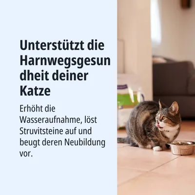 Unterstützt die Harnwegsgesundheit deiner Katze. Erhöht die Wasseraufnahme, löst Struvitsteine auf und beugt deren Neubildung vor.
