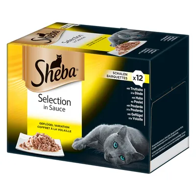 Confezione Sheba Selection in Sauce, 12 vaschette, varianti di pollame. Immagine di un gatto grigio e piatto con bocconcini in salsa. Testo visibile in tedesco e francese.