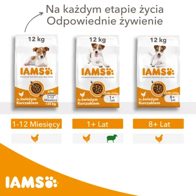 Trzy opakowania karmy IAMS 12 kg ze świeżym kurczakiem dla psów S/M: 1–12 miesięcy, 1+ lat, 8+ lat. Podpisy: 1-12 Miesięcy, 1+ Lat, 8+ Lat. Widoczne logo IAMS.