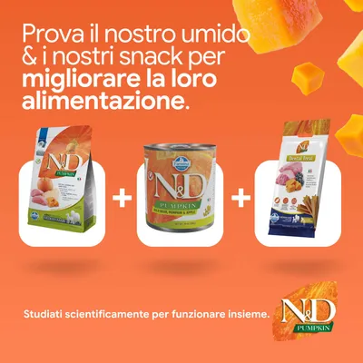 N&D Pumpkin crocchette, alimento umido e dental treat. Sviluppato per migliorare la nutrizione. Formulato scientificamente per agire in sinergia. N&D Pumpkin crocchette, alimento umido e dental treat. Sviluppato per migliorare la nutrizione. Formulato scientificamente per agire in sinergia.