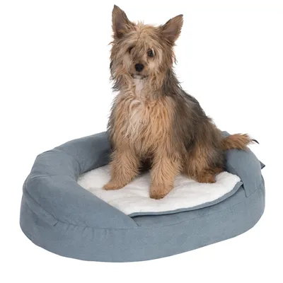 Hund sitzt auf einem ovalen, blauen Hundebett mit weisser Liegefläche.