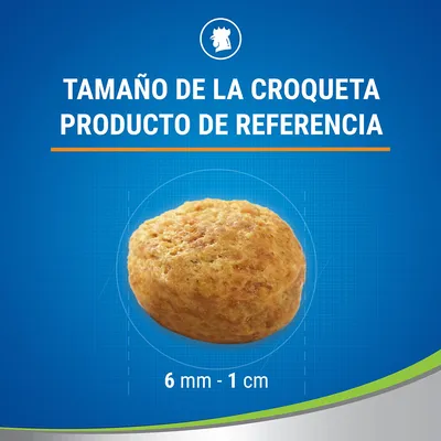 Tamaño de la croqueta producto de referencia: diámetro entre 6 mm y 1 cm. Imagen de una croqueta individual sobre fondo azul.