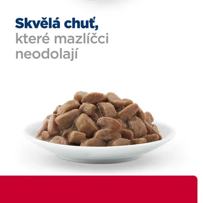 Miska s kúskami krmiva v omáčke. Text na obrázku: Skvělá chuť, které mazlíčci neodolají (česky).
