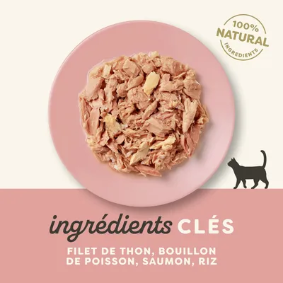 Paquet économique Applaws Cat Natural au bouillon 24 x 70 g