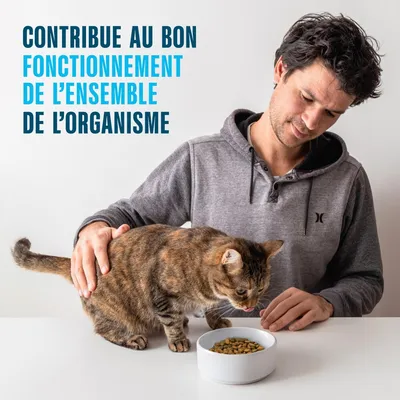 Un homme caresse un chat qui mange des croquettes. Texte : « Contribue au bon fonctionnement de l’ensemble de l’organisme ». Un homme caresse un chat qui mange des croquettes. Texte : « Contribue au bon fonctionnement de l’ensemble de l’organisme ».