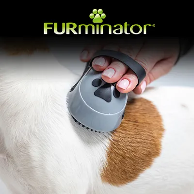 Hand using a grooming brush on an animal’s fur, demonstrating how to use the product for coat care. FURminator brand name shown at the top.