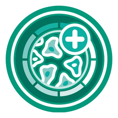 Ilustrácia misky s viacerými kúskami jedla a symbolom plus v kruhu. Žiadny text ani značka nie sú viditeľné.