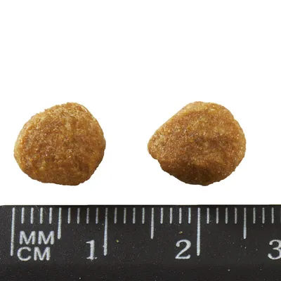 Close-up of two brown kibbles with size comparison using a ruler in millimetres.
