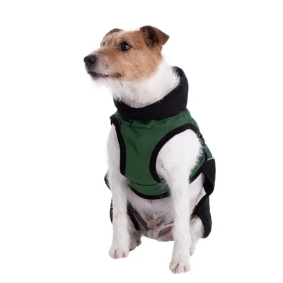 Softshell-Hundejakke