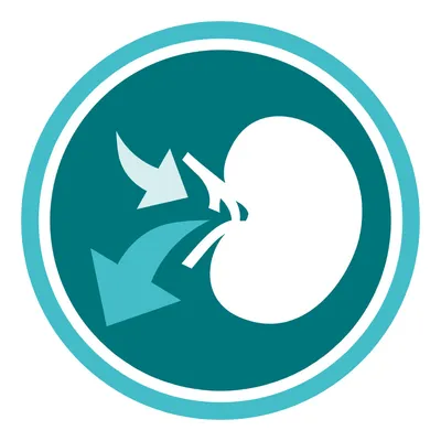 Icon of a kidney shape with two arrows pointing towards it, white on teal background inside a circular border