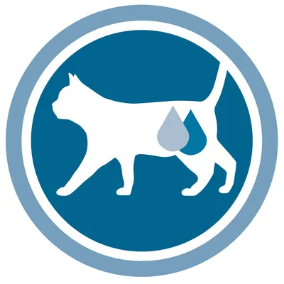 Symbool van een kat met druppel, verwijzing naar ondersteuning van de urineweggezondheid.