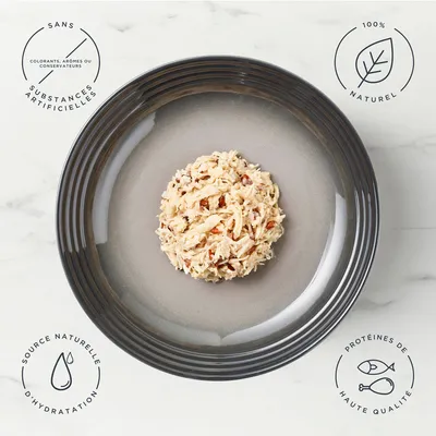 Lot Encore 48 x 70 g sachets pour chat