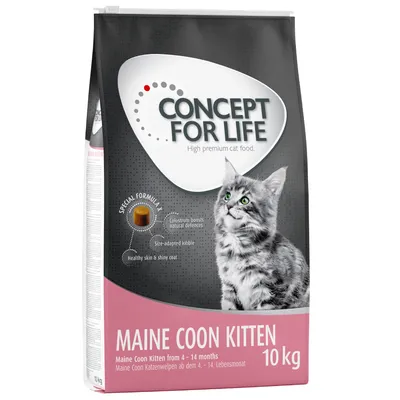 Concept for Life Maine Coon Kitten суха храна, 10 кг. За котенца Maine Coon от 4 до 14 месеца. Специална формула: коластра за имунитет, крокети с подходящ размер.
