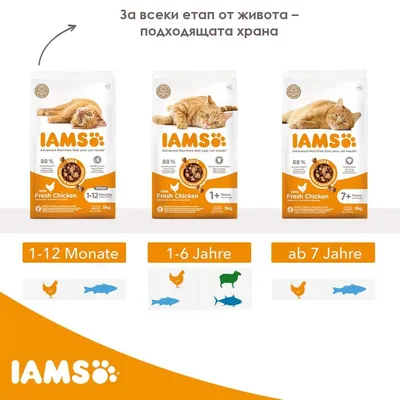 Три опаковки IAMS суха храна за котки с пиле: 1–12 месеца, 1+ години, 7+ години. Видими са икони на пиле, риба, агне. Текст на немски: 1–12 Monate, 1–6 Jahre, ab 7 Jahre.