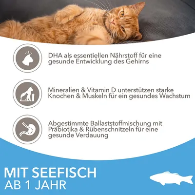 DHA für gesunde Gehirnentwicklung, Mineralien & Vitamin D für starke Knochen und Muskeln, Ballaststoffe mit Präbiotika für Verdauung. Mit Seefisch ab 1 Jahr.