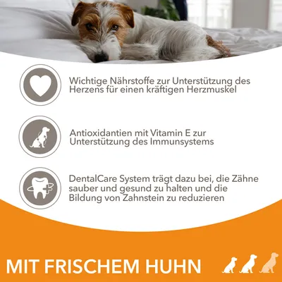 Mit frischem Huhn. Wichtige Nährstoffe für Herzgesundheit, Antioxidantien mit Vitamin E für Immunsystem, DentalCare System zur Zahnpflege und Reduktion von Zahnsteinbildung.